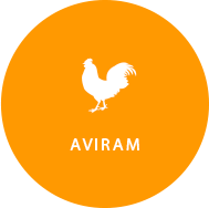 aviram