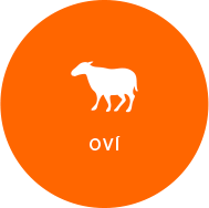 ovi